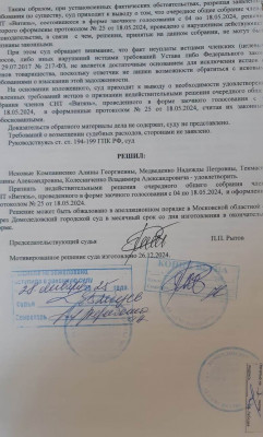 решение в силе.jpeg